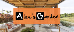 alice garden